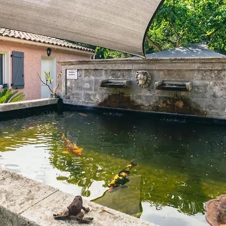 Charmante Au Plan-de-la-tour Avec Piscine Privee Villa Sainte-Maxime